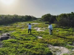 Casi 400 elementos participan en megaoperativo contra desmonte ilegal en la Reserva de Celestún