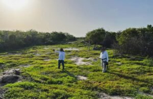 Casi 400 elementos participan en megaoperativo contra desmonte ilegal en la Reserva de Celestún