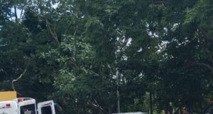 Visitante de Quintana Roo es auxiliado de emergencia en Buctzotz y trasladado a Mérida