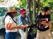 Rescatan en Chiapas a mono saraguato que habría sido víctima del tráfico ilegal de fauna
