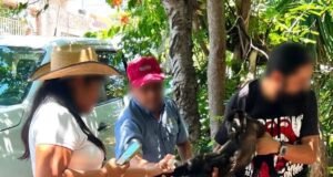 Rescatan en Chiapas a mono saraguato que habría sido víctima del tráfico ilegal de fauna