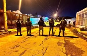 Golpe al narcomenudeo: aseguran más de 407 kilos de presunta marihuana en Mérida y Conkal