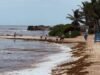 Sargazo pone en jaque al turismo de Tulum; reportan desplome en ocupación hotelera