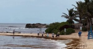 Sargazo pone en jaque al turismo de Tulum; reportan desplome en ocupación hotelera