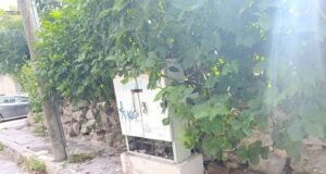 Registros telefónicos deteriorados representan riesgo para peatones en calles de Yucatán