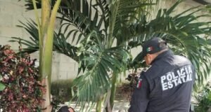 Tras días de búsqueda, hombre de 43 años es localizado con vida en Tamanché