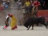 Convocan en Mérida a movilización contra la tauromaquia y las corridas de toros