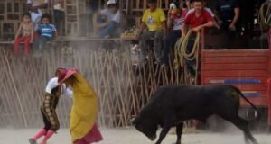 Convocan en Mérida a movilización contra la tauromaquia y las corridas de toros