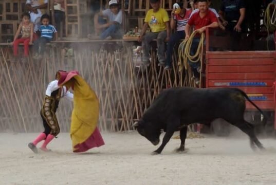 Convocan en Mérida a movilización contra la tauromaquia y las corridas de toros