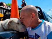 Una despedida entre lágrimas: dueño entrega a su perro tras ataque en la Bojórquez