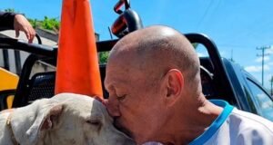 Una despedida entre lágrimas: dueño entrega a su perro tras ataque en la Bojórquez