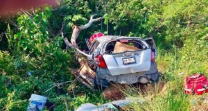 Spark termina contra un árbol en la Mérida-Cancún; un pasajero queda atrapado