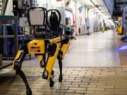 ICE busca gastar 2 millones de dólares en perros robot para operativos de riesgo