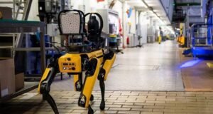 ICE busca gastar 2 millones de dólares en perros robot para operativos de riesgo