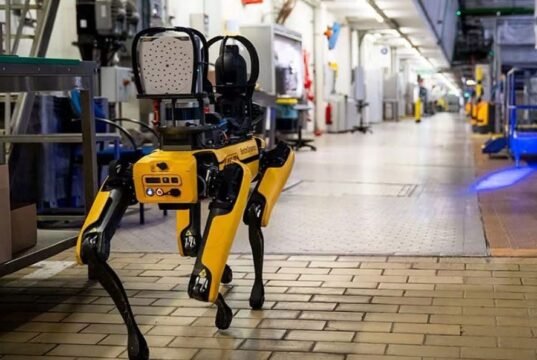 ICE busca gastar 2 millones de dólares en perros robot para operativos de riesgo