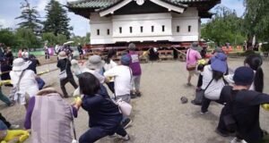 A puro músculo! 1,800 personas mueven un castillo de 360 toneladas en Japón