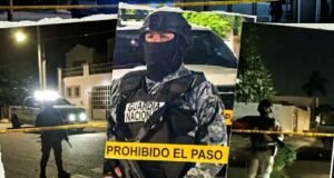 Despliegue de fuerzas estatales y federales causa alarma en Las Américas