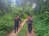 Rescatan a hombre de 84 años tras perderse en el monte de Tizimín