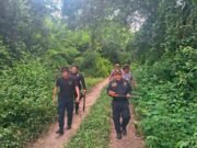 Rescatan a hombre de 84 años tras perderse en el monte de Tizimín