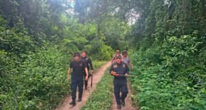 Rescatan a hombre de 84 años tras perderse en el monte de Tizimín