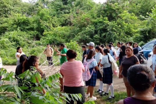 Habitantes de Tiholop cierran carretera por fallas de la CFE
