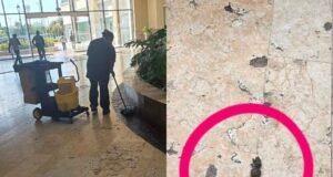 Otra vez en Isla Mérida: denuncian a dueños de perrito por dejar sus heces en la plaza