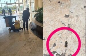 Otra vez en Isla Mérida: denuncian a dueños de perrito por dejar sus heces en la plaza