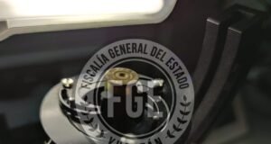 Vinculan a proceso a hombre acusado de crueldad animal en Mérida