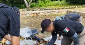 FGR destruye casi 24 kilos de narcóticos y más de 8 mil objetos relacionados con delitos en Yucatán
