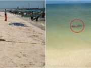 Misteriosa muerte en Celestún: encuentran a “Bolas” sin vida a la orilla del mar