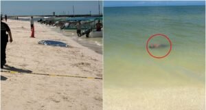 Misteriosa muerte en Celestún: encuentran a “Bolas” sin vida a la orilla del mar