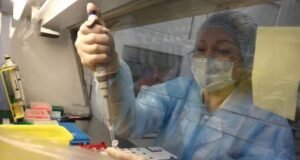 Investigan muerte de científica en Siberia tras presunta exposición a bacteria de la peste