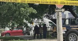 Ataque de abejas en Brisas termina en tragedia y moviliza a cuerpos de emergencia en Mérida