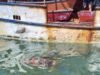 Encuentran a mujer de 62 años sin vida en el puerto de abrigo de Yucalpetén