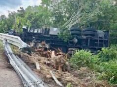 Accidente en la Valladolid-Cancún: torton termina fuera de la vía y su conductor acaba en el hospital