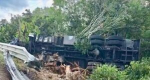 Accidente en la Valladolid-Cancún: torton termina fuera de la vía y su conductor acaba en el hospital